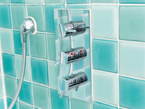 Hand-held showerhead