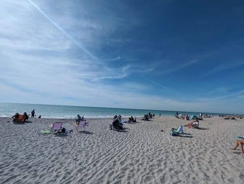 Sun loungers, beach towels