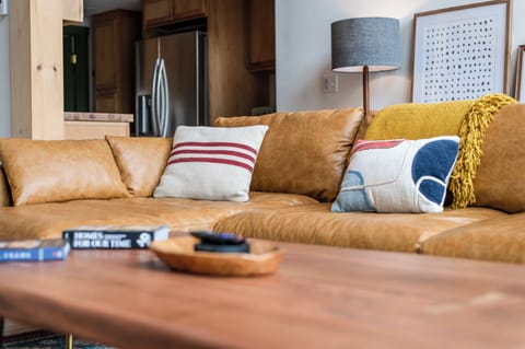 TV, fireplace, books