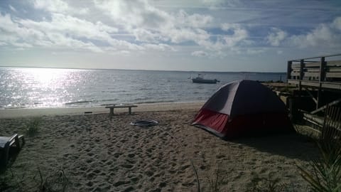 On the beach, sun loungers, beach towels