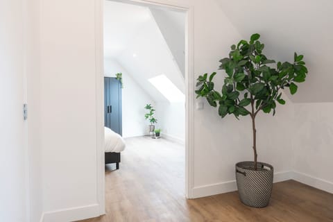 A glimpse into the serene hallway leading into the bright and welcoming bedroom, enhanced by a decorative potted plant that adds a natural touch.