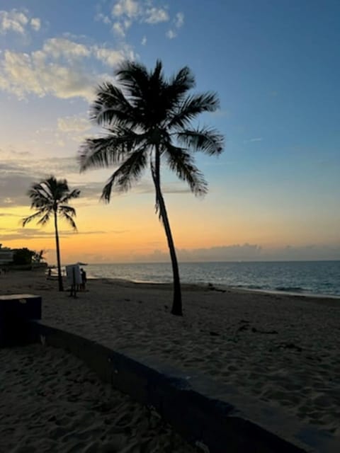 Sun loungers, beach towels