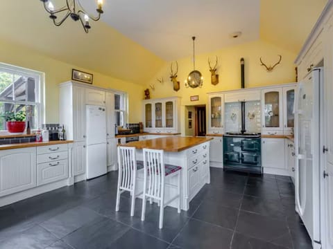 Kitchen Island & Aga