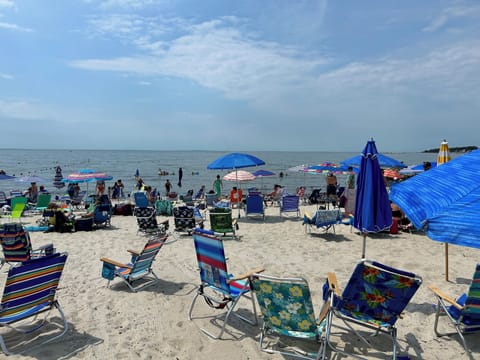 Sun loungers, beach towels