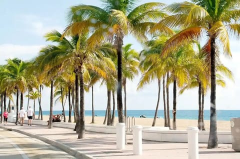 Sun loungers, beach towels