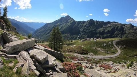 Grossalp