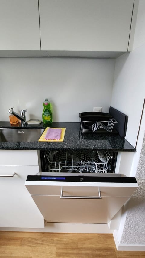 Apartment is equipped with a V-Zug dishwasher