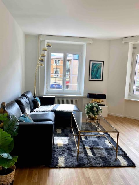 Spacious & brightly lit living room with leather sofa and 3 sets of windows (which is a gem to find in downtown zurich)