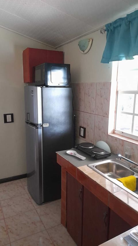 Fridge, microwave, coffee/tea maker, electric kettle