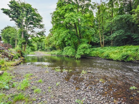 Surrounding area | Rivendell, Dollar