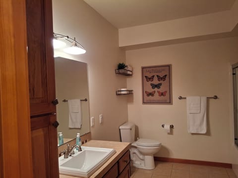 Jetted tub, hair dryer, towels, soap