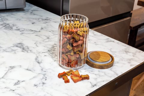 Doggie Biscuits Provided