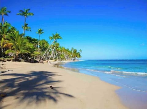 Sun loungers, beach towels