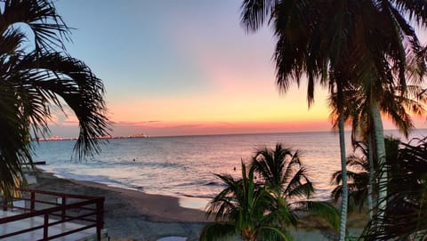 Sun loungers, beach towels