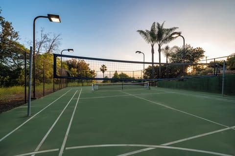 Sport court