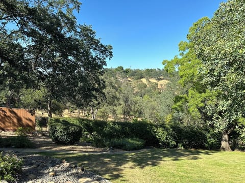 Private Backyard looking toward Hinkle Creek Nature Area