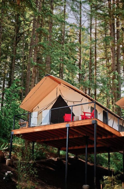 A peaceful glamping tent perched among the trees, offering a perfect escape from the everyday.