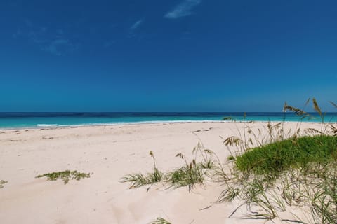 On the beach