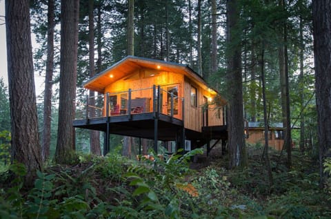 Retreat to a stunning treehouse hideaway, elevated among the forest canopy.