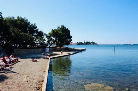 Sun loungers, beach towels