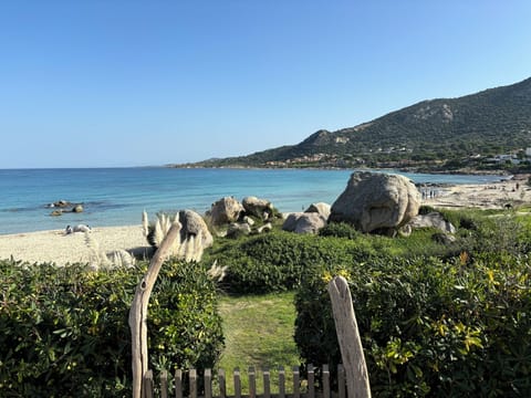 On the beach