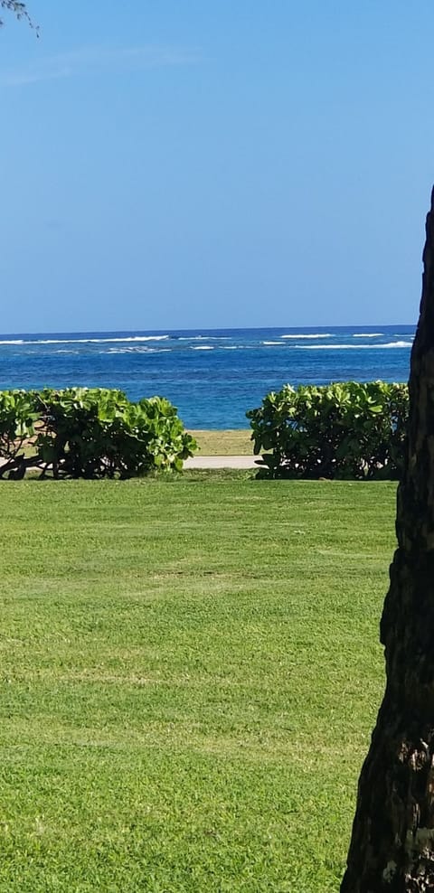 On the beach, sun loungers, beach towels