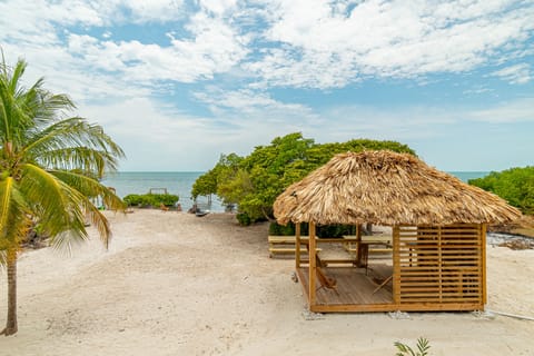 Sun loungers, beach towels