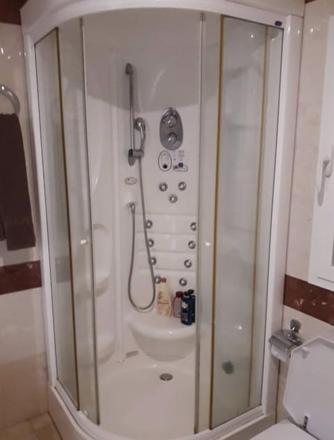 Shower, jetted tub, hair dryer, towels