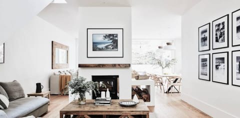 TV, fireplace, books