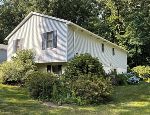 Front of House / Yard