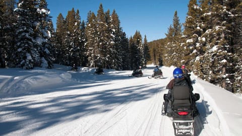 Snow and ski sports