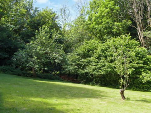 Garden | Wood Cottage, Stackpole Cheriton, near Pembroke