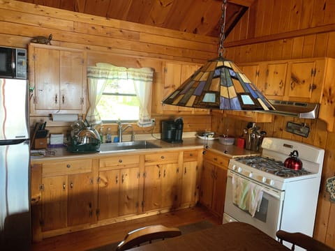 Fridge, oven, stovetop, coffee/tea maker