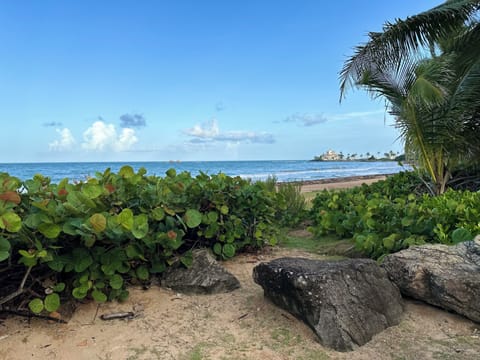 Sun loungers, beach towels