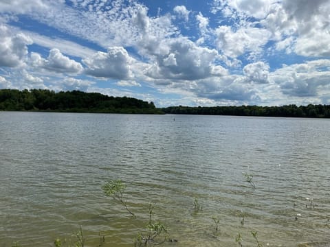 A view of the lake from our beach area