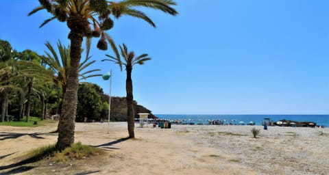 On the beach