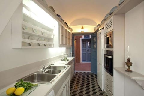 Fridge, oven, stovetop