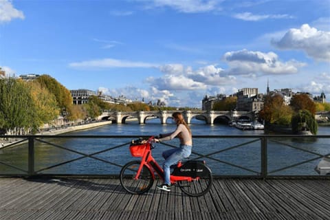 Pont Neuf bridge
300 m from the magnificent home