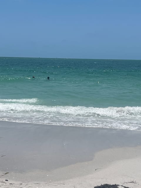 Sun loungers, beach towels