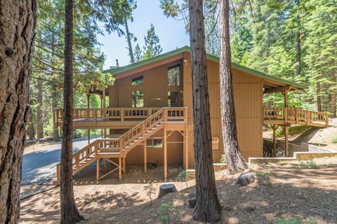 Welcome to Forest Haven!