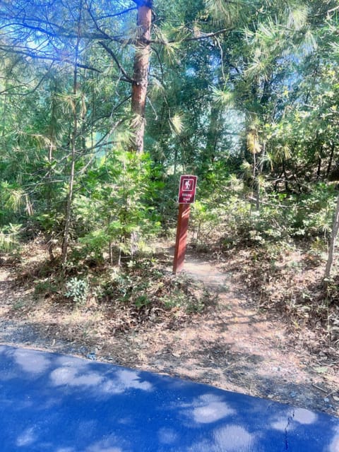 Hiking trails off the driveway