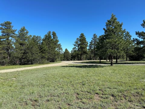 RV, Tent spots, trailer parking