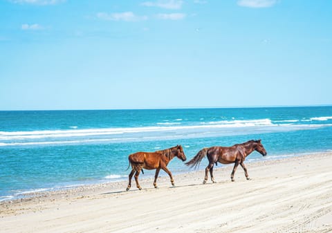 Beach nearby