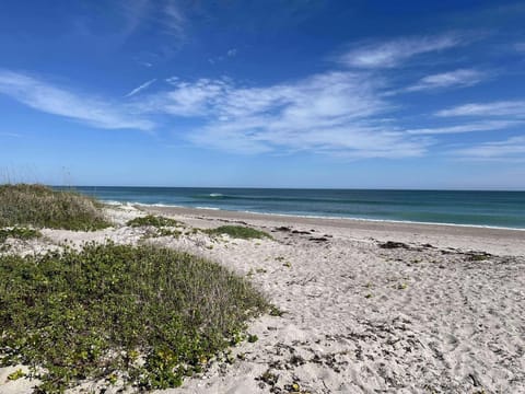 Beach nearby, sun loungers, beach towels