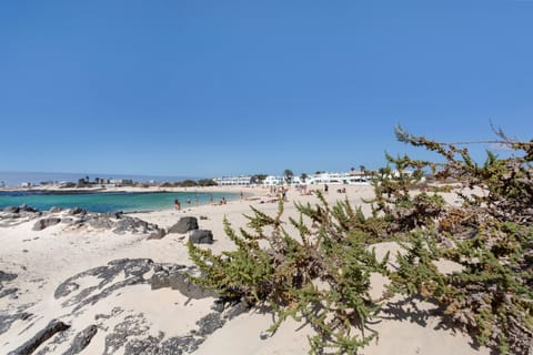 On the beach