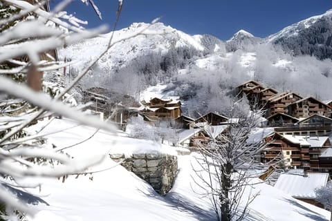 Enjoy breathtaking views of the snow-capped French Alps from the apartment's balcony. Nestled in the charming village of Champagny-en-Vanoise, the apartment offers a picturesque backdrop for your winter getaway.  The surrounding mountain scenery is a test