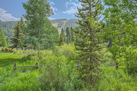 A lush, green forest scene with various trees, dense vegetation, a wooden fence, and mountains in the background under a partly cloudy sky.