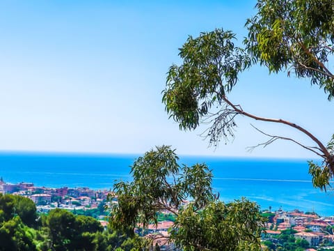 Beach/ocean view