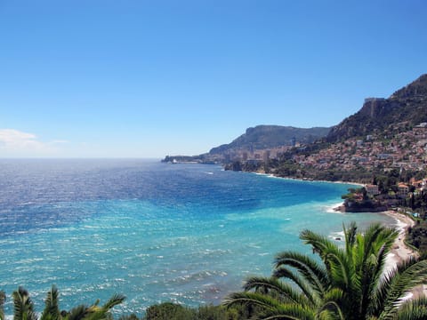 Beach/ocean view