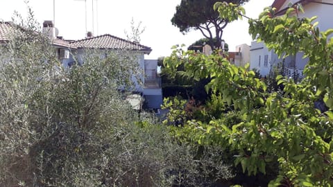 View from the window